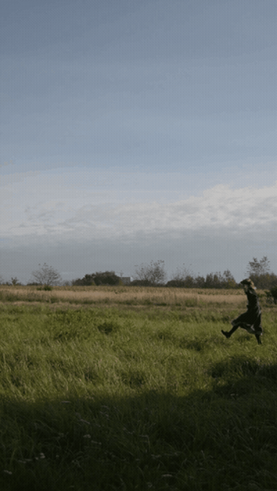 A Person Running In A Field With Trees In The Background GIF