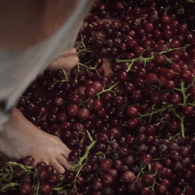 A Person 'S Feet Are Standing On A Pile Of Red Grapes GIF