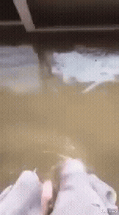 A Person 'S Feet Are Sticking Out Of A Flooded Room . GIF