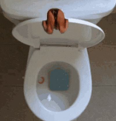 A Person 'S Feet Stick Out Of A Toilet With The Lid Open GIF