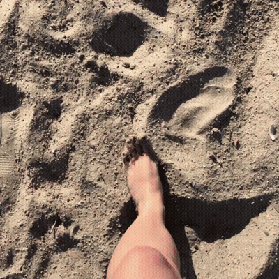 A Person 'S Foot Is Sticking Out Of The Sand On The Beach GIF