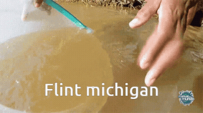 A Person 'S Hand Is Reaching Into A Bowl Of Water With The Words Flint Michigan Written On It GIF