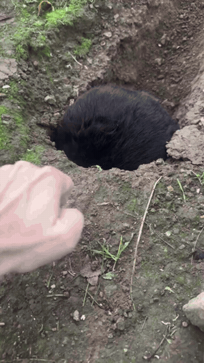 A Person 'S Hand Is Reaching Out Towards A Hole In The Ground GIF