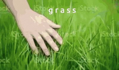 A Person 'S Hand Is Touching The Grass With The Word Grass In The Background GIF