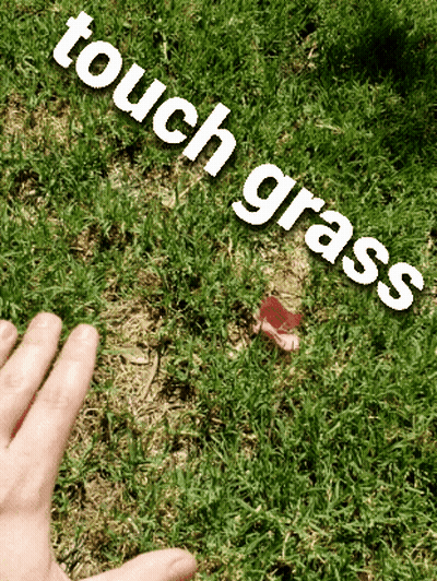 A Person 'S Hand Reaches Out To Touch Grass GIF