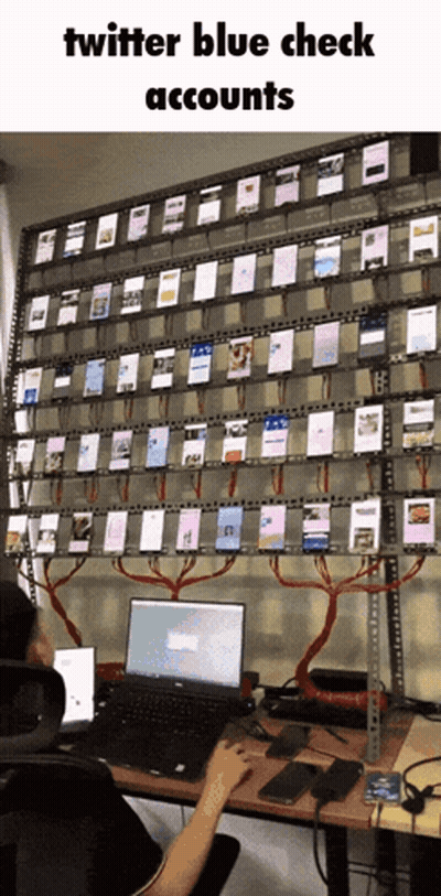A Person Sitting At A Desk With A Laptop In Front Of A Wall Of Phones With The Words Twitter Blue Check Accounts GIF