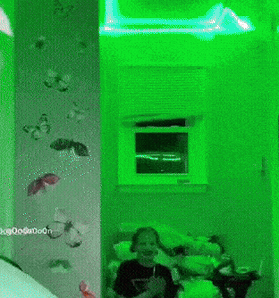 A Person Sitting On A Bed In Front Of A Green Wall With Butterflies GIF