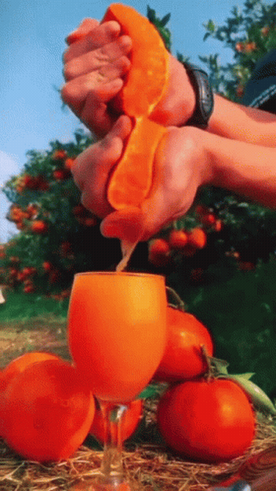 A Person Squeezes An Orange Into A Wine Glass GIF