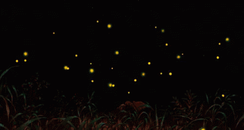 A Person Standing In A Field With Fireflies Flying Around Them GIF
