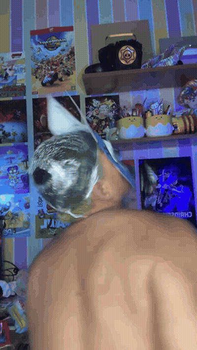 A Person Standing In Front Of A Shelf With A Poster On It That Says ' Clash Of Clans ' GIF