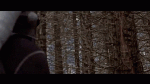A Person Standing In The Middle Of A Forest GIF