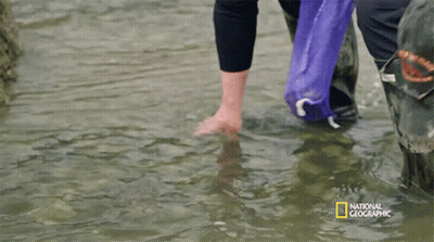 A Person Standing In The Water With A National Geographic Logo GIF