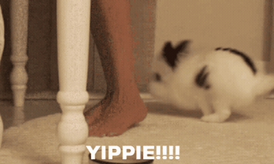 A Person Standing Next To A Rabbit That Says Yippie On The Bottom GIF