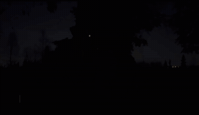 A Person Standing Next To A Tree With The Words We Are So Back GIF