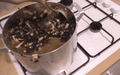 A Person Stirs A Pot Of Food On A Stove GIF