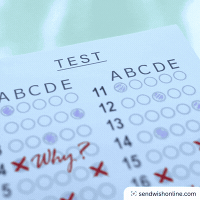 A Person Taking A Test With Why Written On It GIF