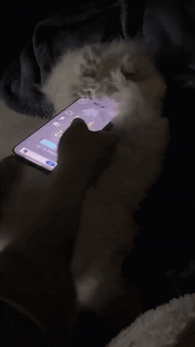 A Person Using A Cell Phone In The Dark With A Light Shining On It GIF