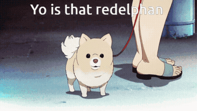 A Person Walking A Small Dog On A Leash With The Words Yo Is That Redelphan Above It GIF