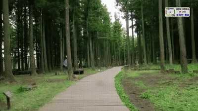 A Person Walking Down A Path In The Woods With A Sign That Says ' On ' On It GIF
