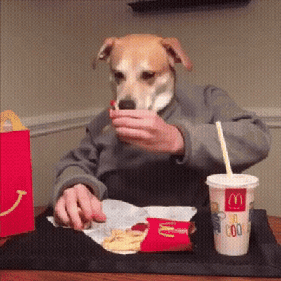 A Person Wearing A Dog Mask Is Eating French Fries From A Mcdonald 'S Cup GIF