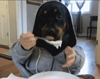 A Person Wearing A Hoodie With A Dog Face On It GIF