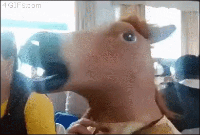A Person Wearing A Horse Mask On A Bus GIF
