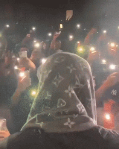 A Person Wearing A Louis Vuitton Hoodie Is Standing In Front Of A Crowd GIF