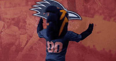 A Person Wearing A Mascot Costume With The Number 316 On The Back Of Their Shirt GIF