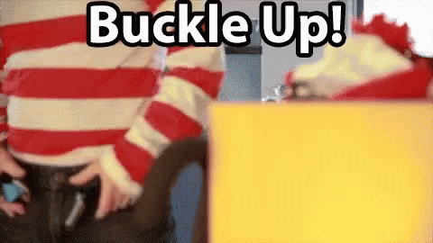 A Person Wearing A Red And White Striped Shirt Is Buckled Up GIF