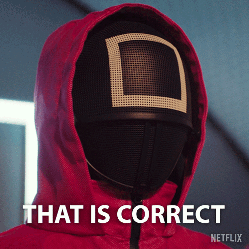 A Person Wearing A Red Hoodie And A Mask That Says " That Is Correct " On It GIF