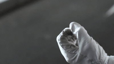 A Person Wearing A White Glove Is Holding A Small Object GIF