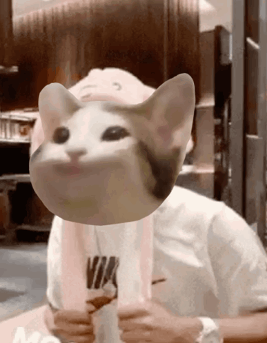 A Person Wearing A White Nike Shirt With A Cat Mask On Their Face GIF