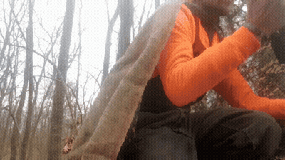 A Person Wearing An Orange Shirt And Black Pants Is Sitting In The Woods GIF