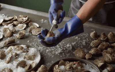 A Person Wearing Blue Gloves Is Opening An Oyster With A Hammer GIF