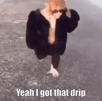 A Person Wearing Sunglasses And A Fur Coat Is Walking In The Water And Says Yeah I Got That Drip . GIF