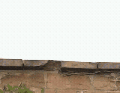 A Person Wearing White Gloves Is Reaching Over A Brick Wall With Their Hand . GIF