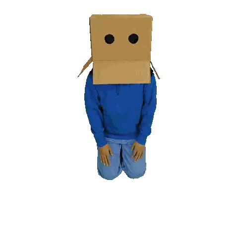 A Person With A Cardboard Box On Their Head Is Kneeling Down Sticker