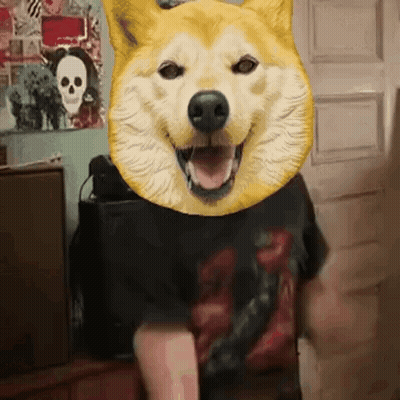 A Person With A Dog Head On Their Head GIF