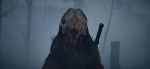 A Person With A Skull On Their Head And A Sword On Their Shoulder . GIF