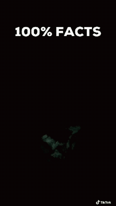 A Person With A Skull Painted On Their Face Is Holding A Candle In Front Of Them . GIF