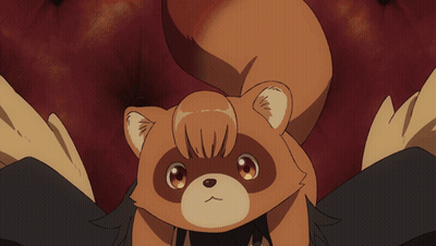A Person With A Stuffed Animal On Their Head That Looks Like A Raccoon GIF