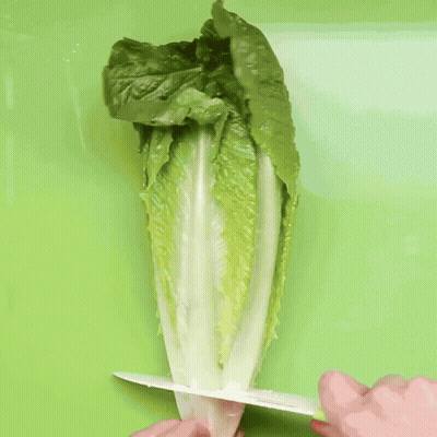 A Person With Red Nails Is Holding A Lettuce Leaf GIF