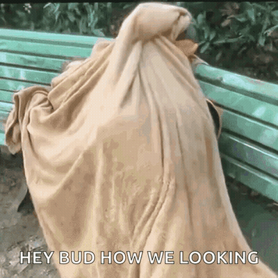 A Person Wrapped In A Blanket Sitting On A Bench With The Words Hey Bud How We Looking GIF