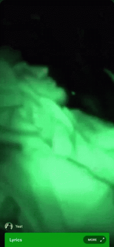 A Phone Screen With A Green Background And A Green Button That Says More GIF
