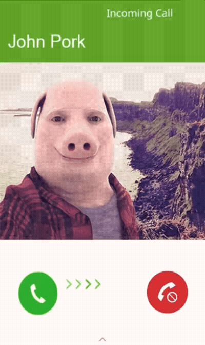 A Phone Screen With A Picture Of A Man With A Pig Head And The Name John Pork On It GIF