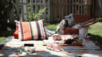 A Picnic Blanket With Plates Of Food And A Basket GIF