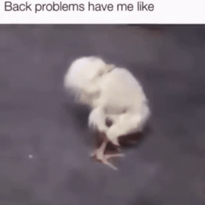 A Picture Of A Baby Chicken With The Words Back Problems Have Me Like On The Bottom GIF