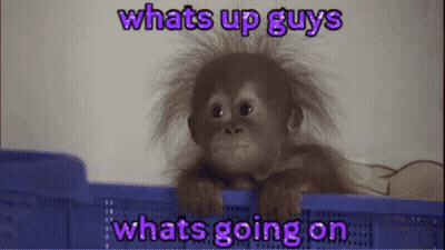 A Picture Of A Baby Monkey With The Words Whats Up Guys What 'S Going On GIF
