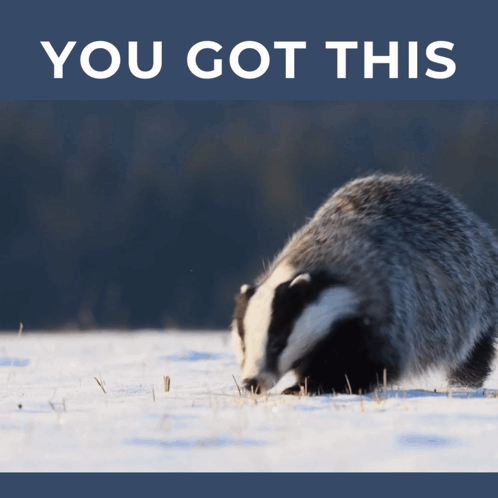 Badger In Snow With You Got This GIF