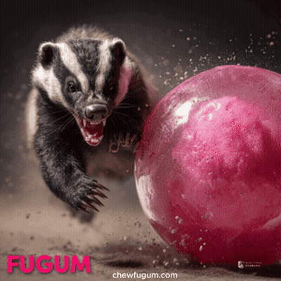 A Picture Of A Badger Playing With A Pink Ball That Says Fugum On The Bottom GIF